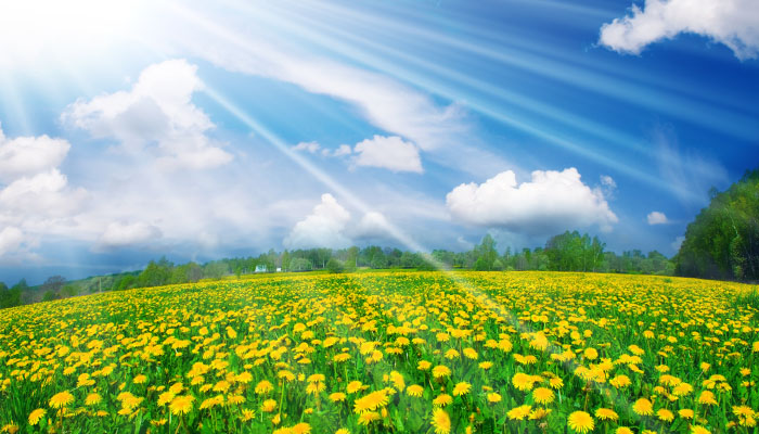 种植行业有什么发展潜力大的东西?